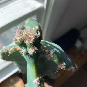 Meet your Posher, Cody